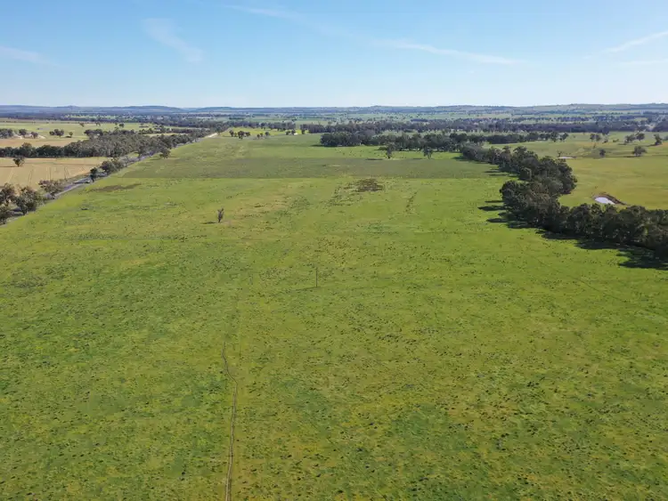 Second view of Homely rural property listing, 2871 Olympic Highway, Bendick Murrell NSW 2803