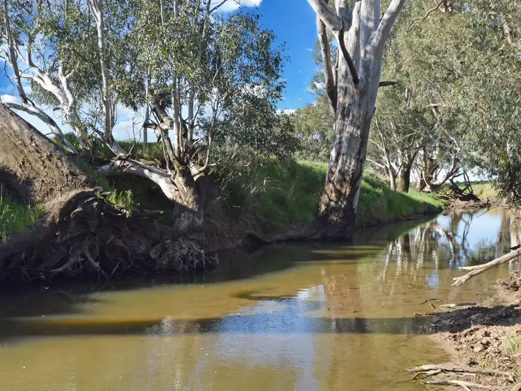 Fourth view of Homely rural property listing, 2871 Olympic Highway, Bendick Murrell NSW 2803