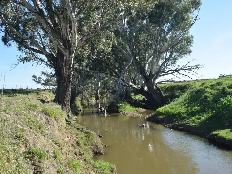 Fifth view of Homely rural property listing, 2871 Olympic Highway, Bendick Murrell NSW 2803