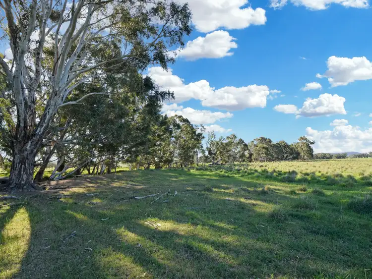 Sixth view of Homely rural property listing, 2871 Olympic Highway, Bendick Murrell NSW 2803