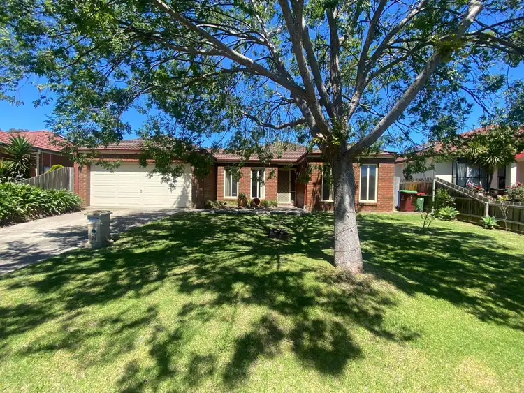 21 Lindsay Crescent, Lynbrook VIC 3975