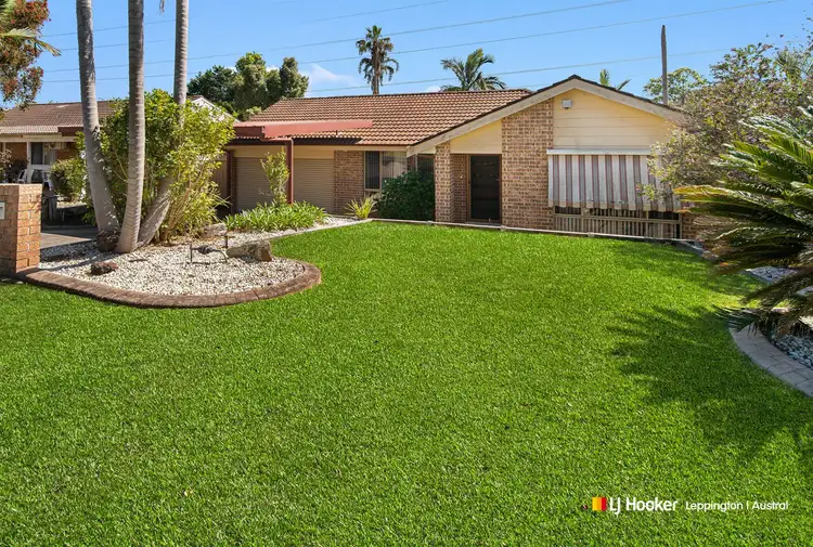 25 Haultain Street, Minto NSW 2566