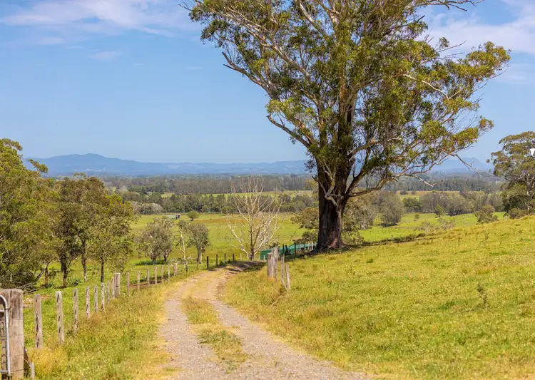 Fifth view of Homely rural property listing, 149 Factory Road, Mitchells Island NSW 2430
