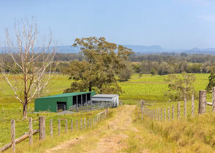 Seventh view of Homely rural property listing, 149 Factory Road, Mitchells Island NSW 2430