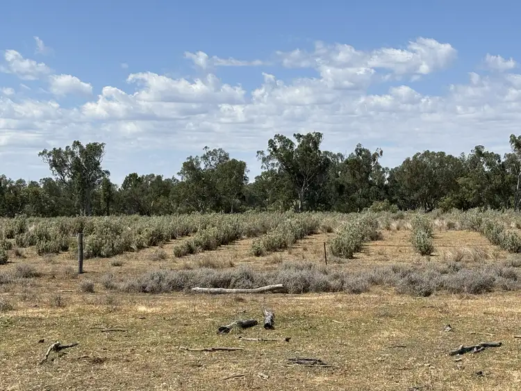 Fourth view of Homely rural property listing, Address available on request