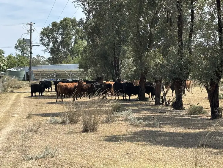 Seventh view of Homely rural property listing, Address available on request