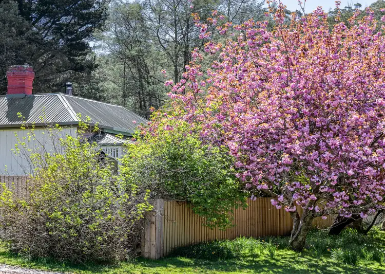 4 Franks Street, St Marys TAS 7215