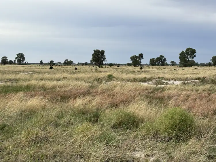 Sixth view of Homely rural property listing, 171 Deans Rd, Goondiwindi QLD 4390