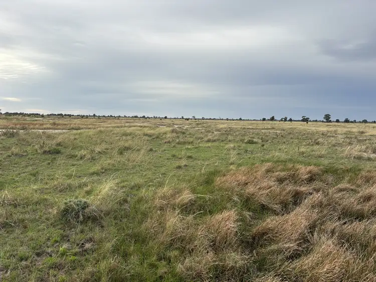 Seventh view of Homely rural property listing, 171 Deans Rd, Goondiwindi QLD 4390