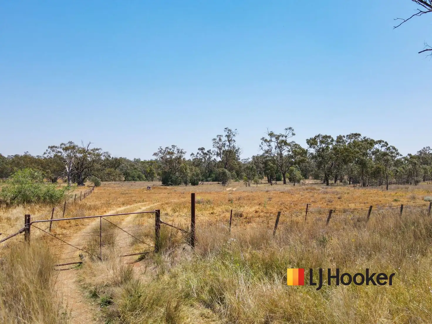 Main view of Homely land listing, 1881 Burroway Road, Burroway NSW 2821