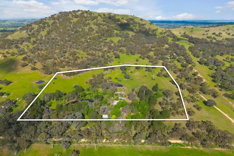 55 Common Road, Bowning NSW 2582