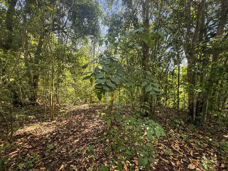 Fourth view of Homely land listing, Lot 4 Catalano Access Road, Goldsborough QLD 4865