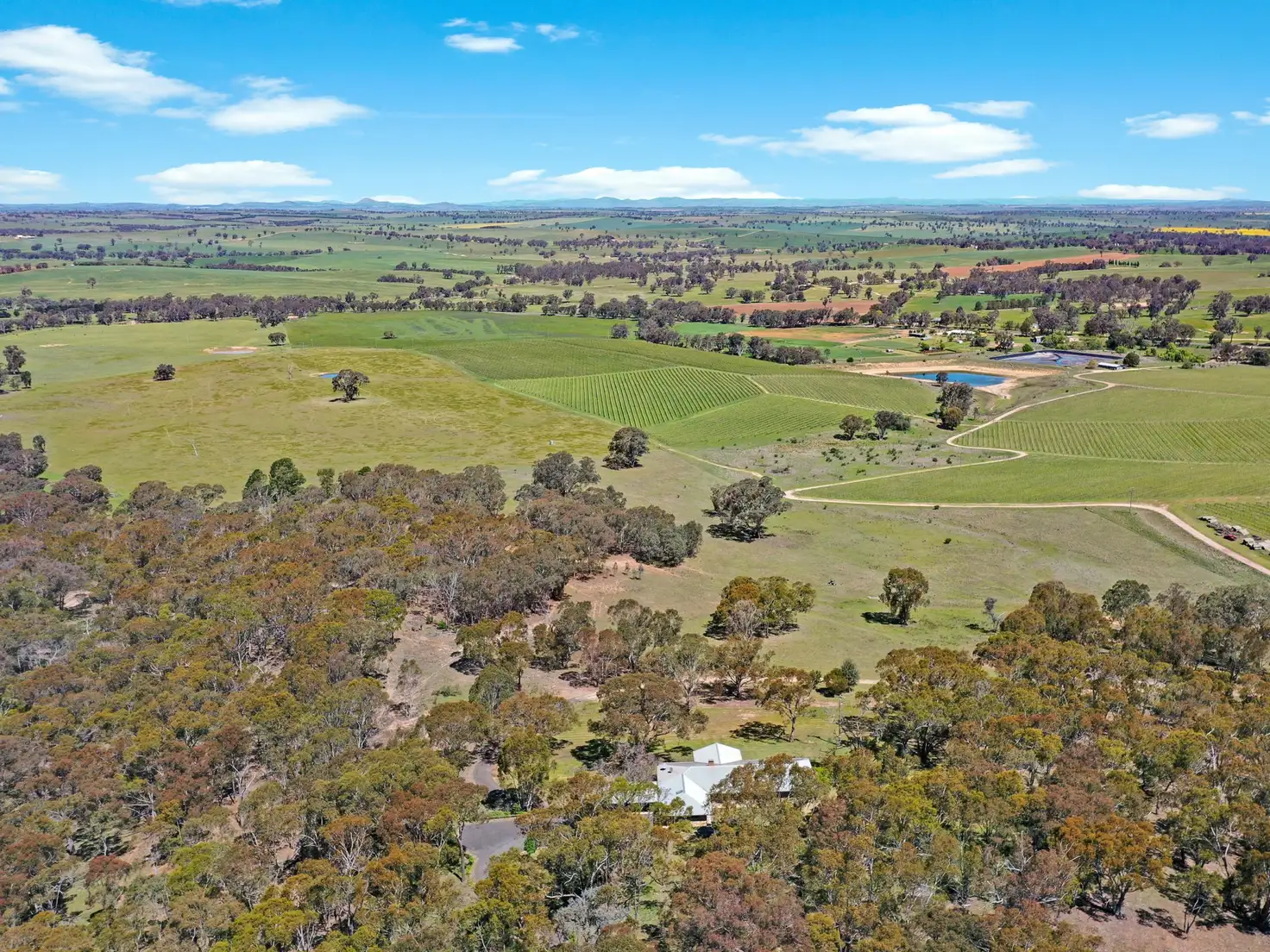 Main view of Homely rural property listing, 138 Black Range Road, Young NSW 2594