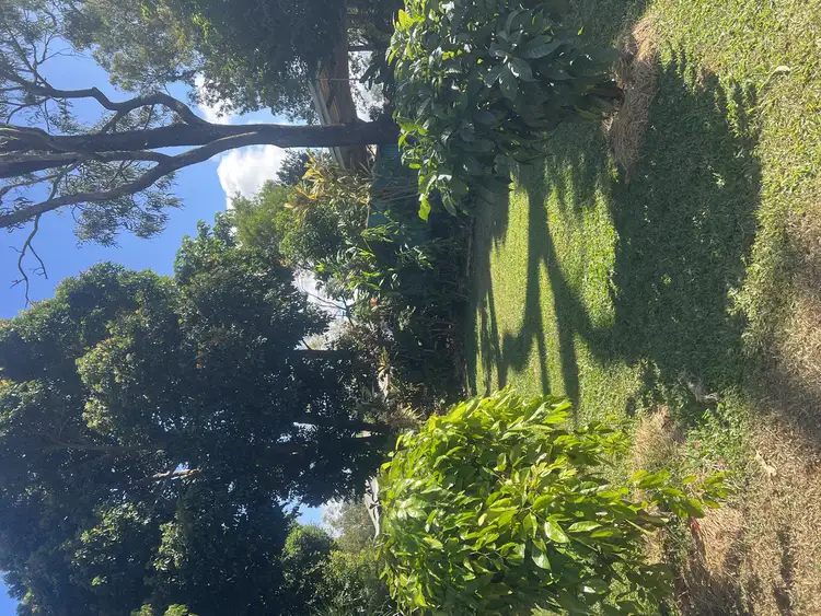 Third view of Homely house listing, 12 Cassia Street, Walkamin QLD 4872