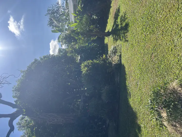 Fourth view of Homely house listing, 12 Cassia Street, Walkamin QLD 4872