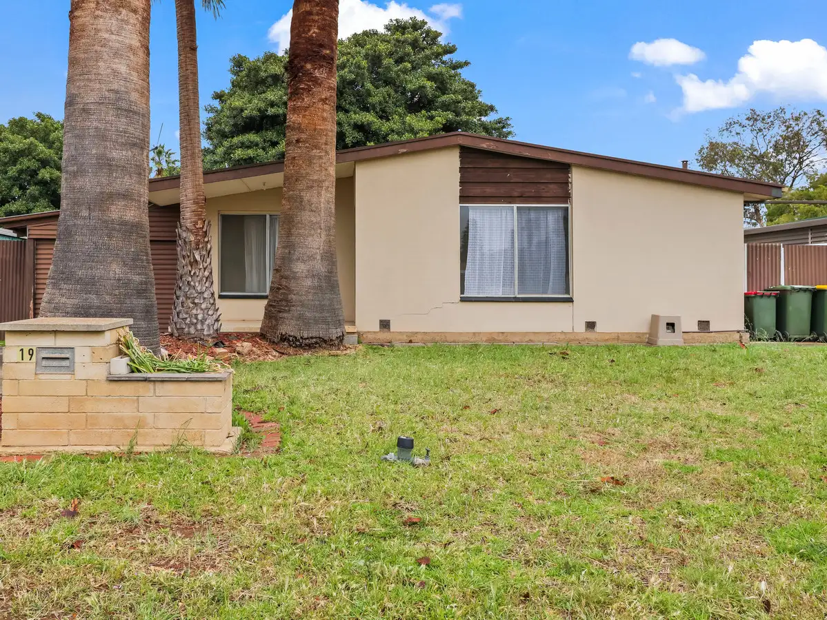 Main view of Homely house listing, 19 Douglas Street, Elizabeth Downs SA 5113