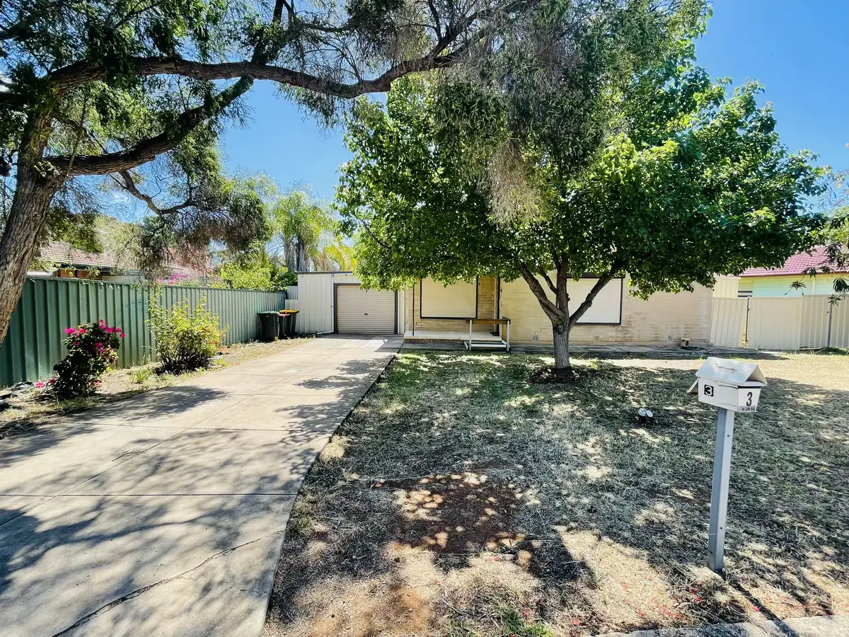 Main view of Homely house listing, 3 Douglas Street, Elizabeth Downs SA 5113