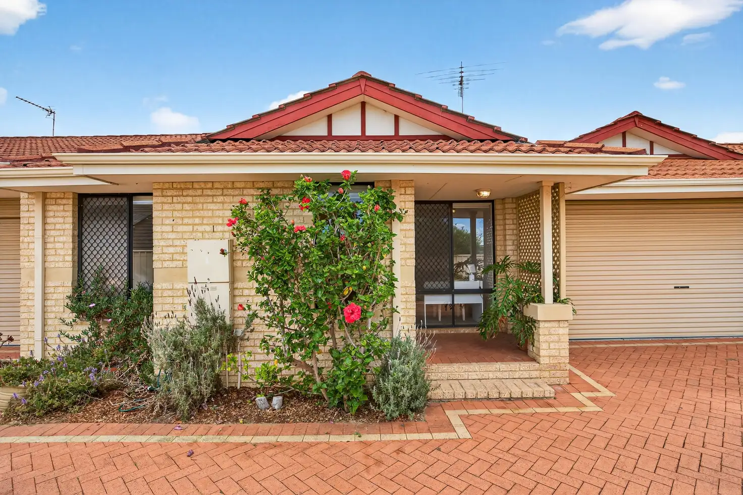 Main view of Homely unit listing, 14b Pingrup Lane, Scarborough WA 6019