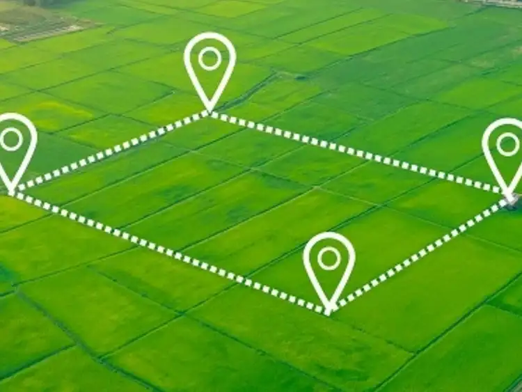 Address available on request