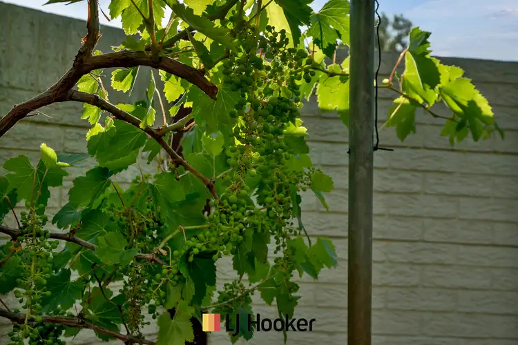 Fourth view of Homely house listing, 1 Boyare Avenue, Mirrabooka WA 6061