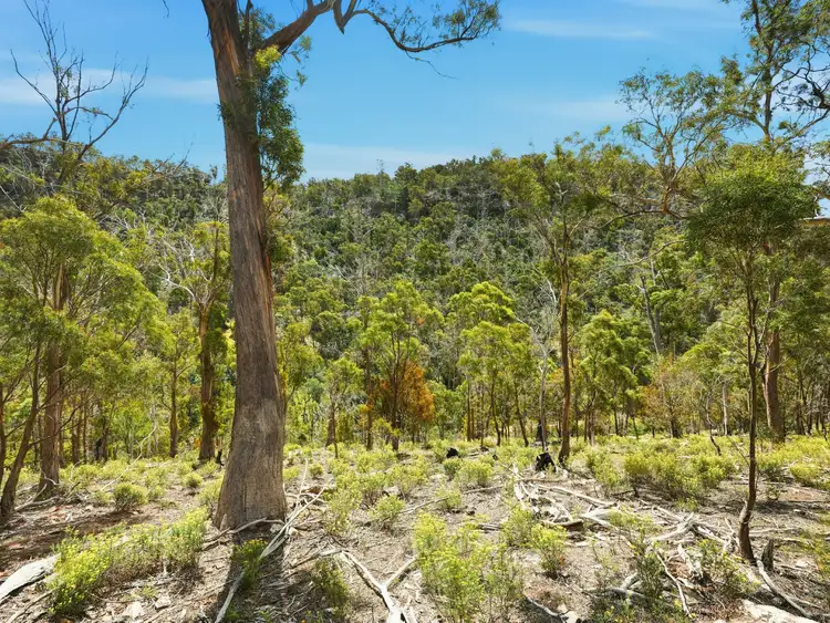 Sixth view of Homely land listing, 608 Cockatoo Gully Road, Elderslie TAS 7030