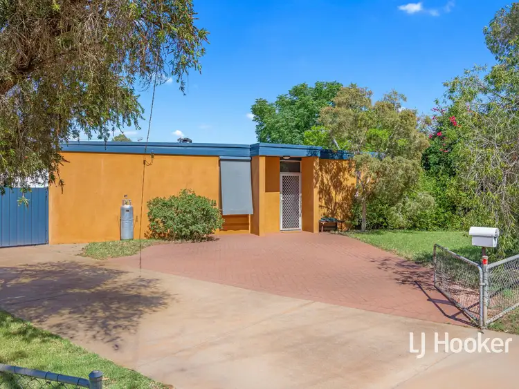 7 Irvine Crescent, Araluen NT 870
