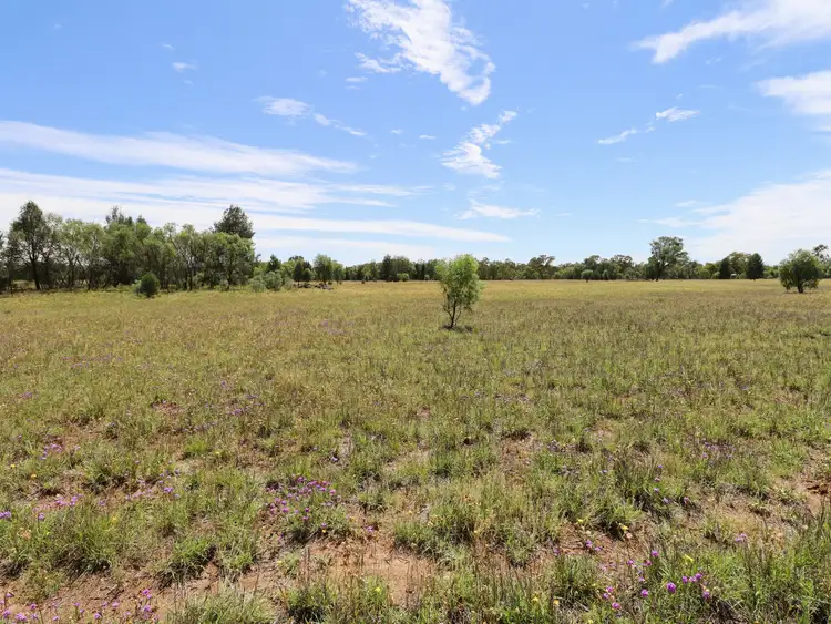 Fourth view of Homely land listing, 30 Bristol Street, Mitchell QLD 4465