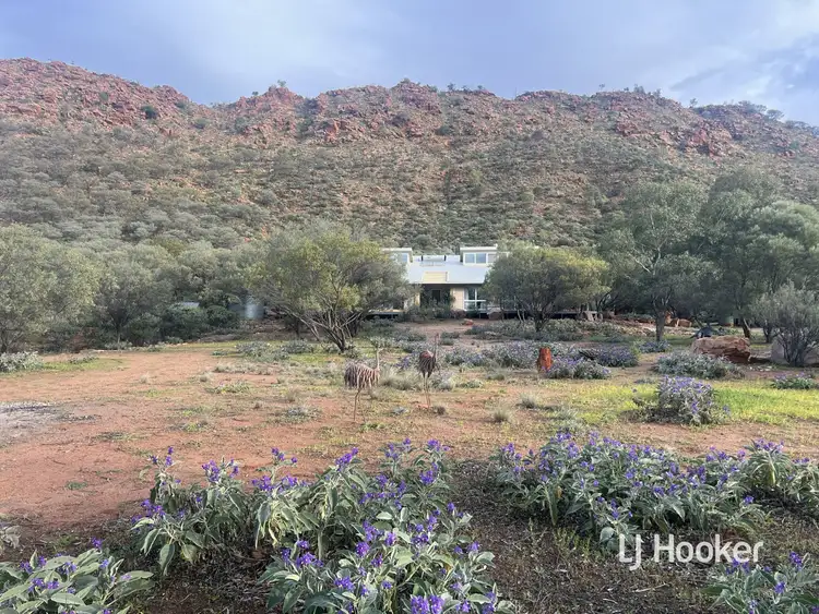 989 Ilparpa Road, White Gums NT 870