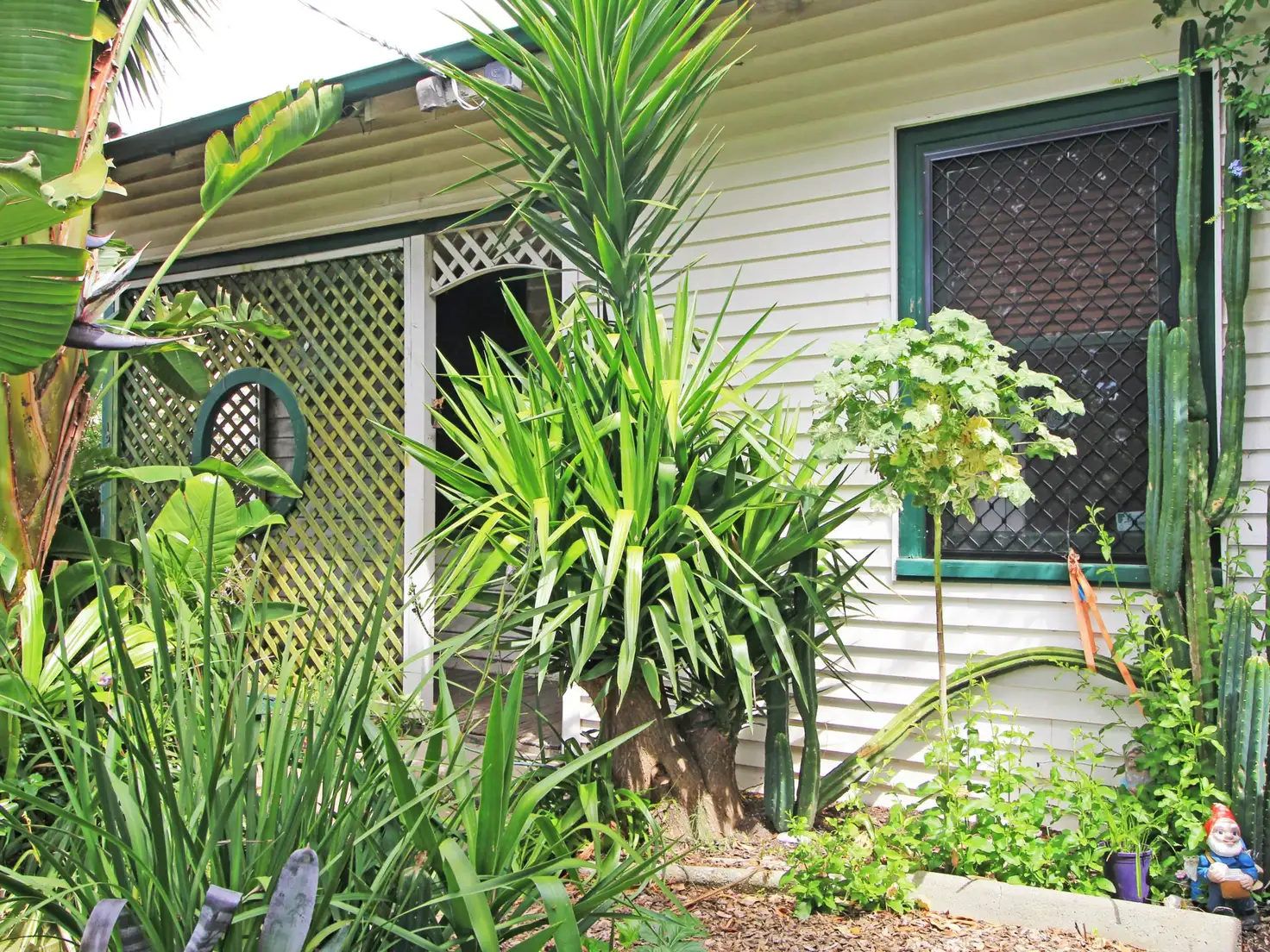 Main view of Homely house listing, 195 Nicholson Street, Bairnsdale VIC 3875