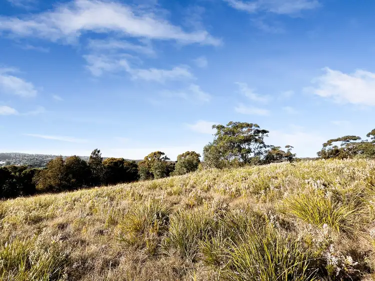 Seventh view of Homely land listing, 35a Falmouth Street, St Helens TAS 7216