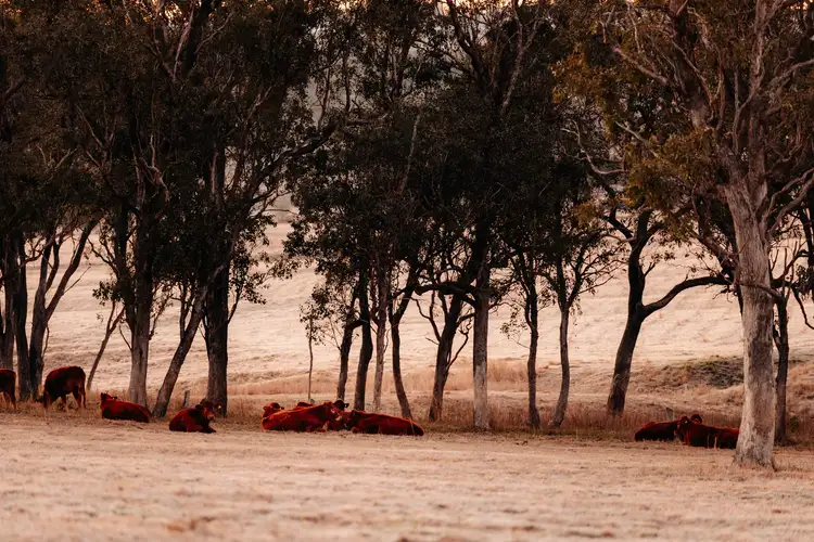 Fifth view of Homely land listing, Lot 12/20 Peters Road, Meringandan West QLD 4352
