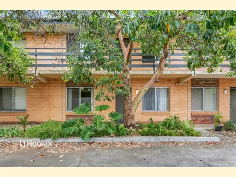 5/302 Young Street, Wayville SA 5034