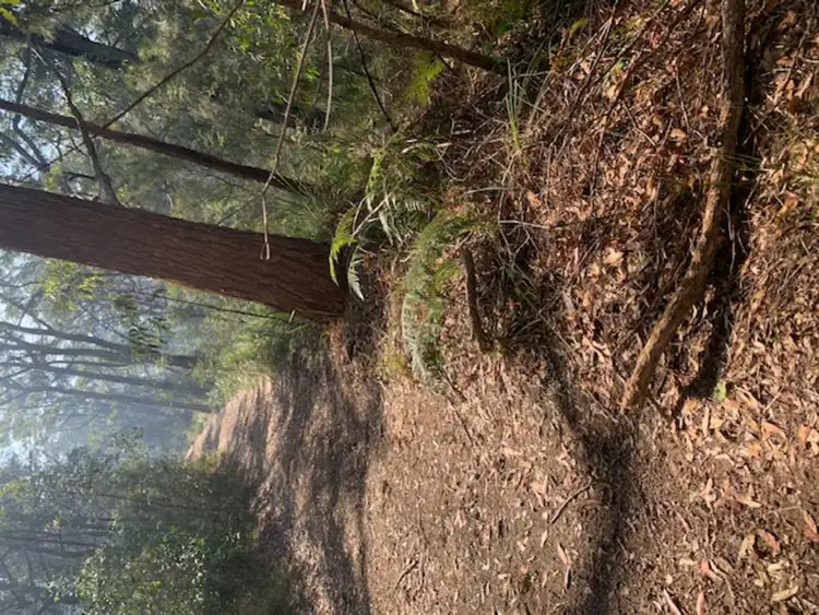 Seventh view of Homely land listing, Lot 759 DP (10) City Crescent, North Arm Cove NSW 2324