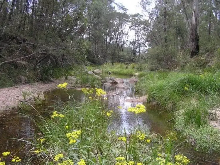 Main view of Homely rural property listing, 3019 Monaro Highway, Chandlers Creek VIC 3890