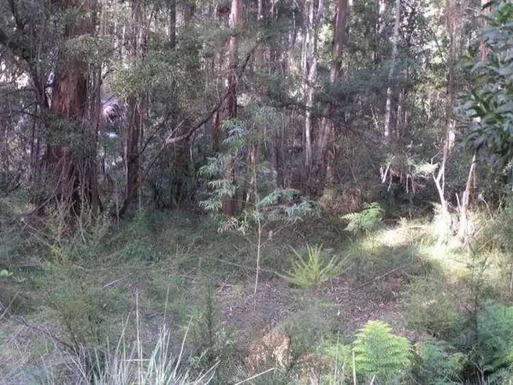 Second view of Homely rural property listing, 3019 Monaro Highway, Chandlers Creek VIC 3890