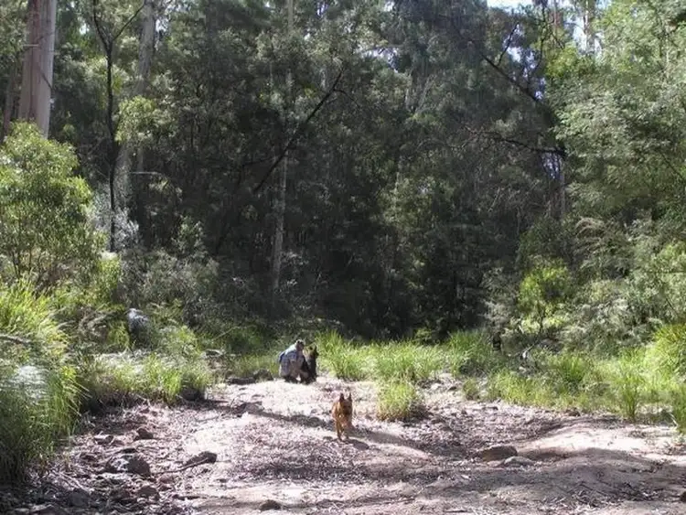 Seventh view of Homely rural property listing, 3019 Monaro Highway, Chandlers Creek VIC 3890