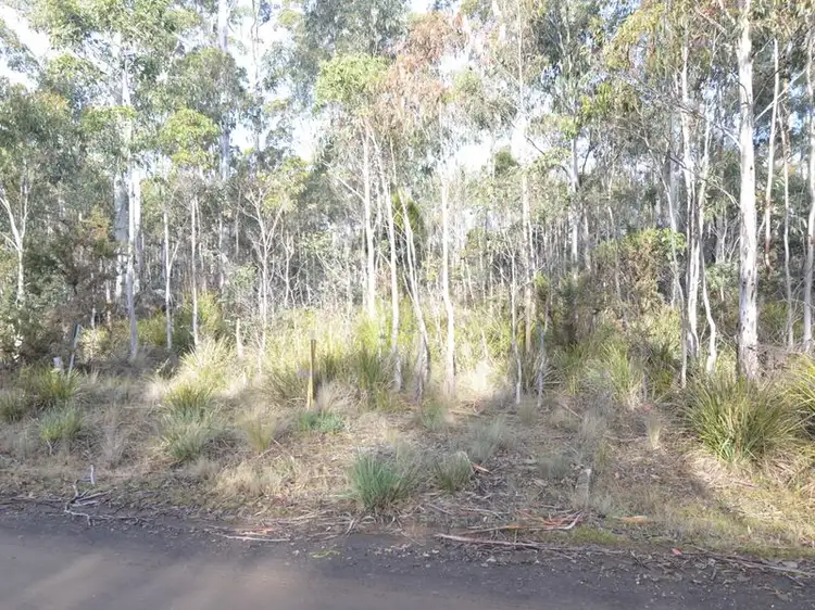 Second view of Homely land listing, 11 Lake View Road, Lake Leake TAS 7210