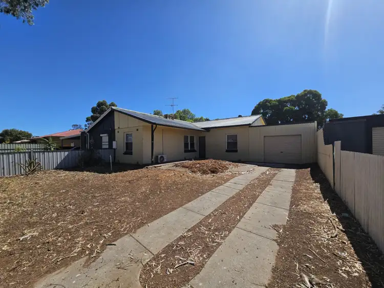 64 Willison Road