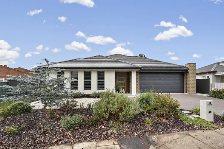 16 Angas Street