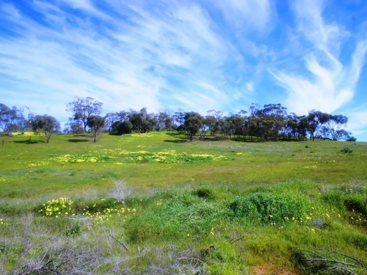 Main view of Homely land listing, Lot 411 Mattschoss Road, Daveyston SA 5355