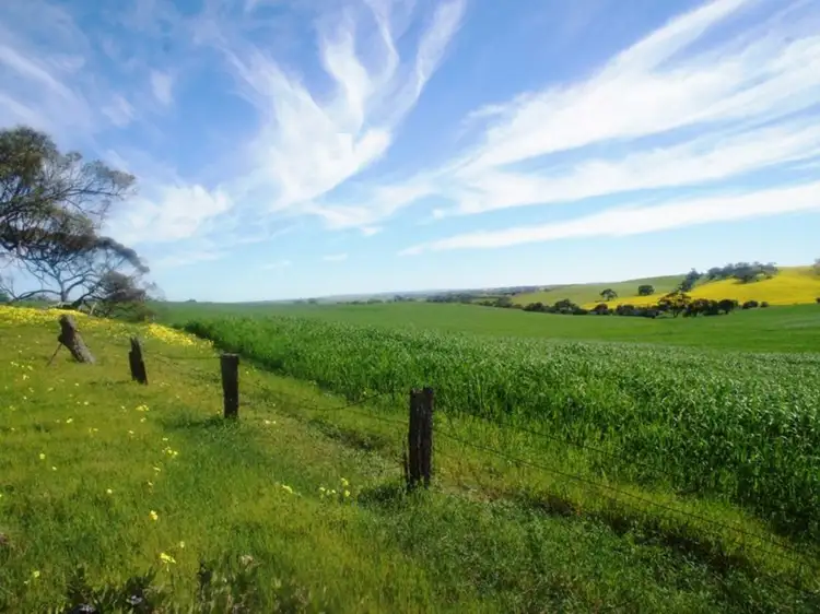 Lot 412 Mattschoss Road, Daveyston SA 5355