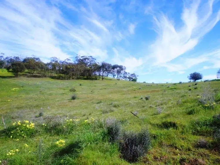 Third view of Homely land listing, Lot 412 Mattschoss Road, Daveyston SA 5355