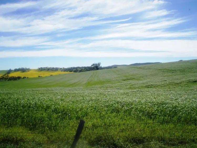 Fifth view of Homely land listing, Lot 412 Mattschoss Road, Daveyston SA 5355