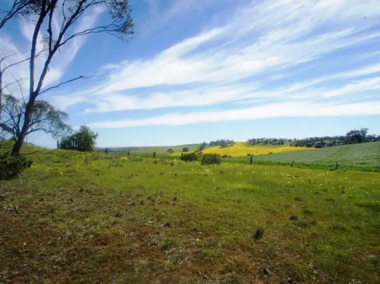 Sixth view of Homely land listing, Lot 412 Mattschoss Road, Daveyston SA 5355