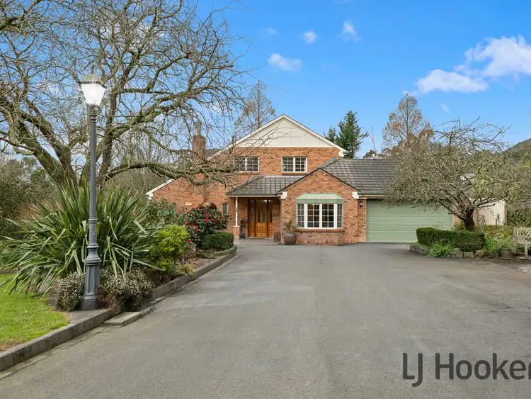 61 Basin-Olinda Road