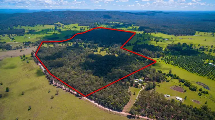 Main view of Homely house listing, 1215 Lawrence - Tullymorgan Road, Tullymorgan NSW 2463