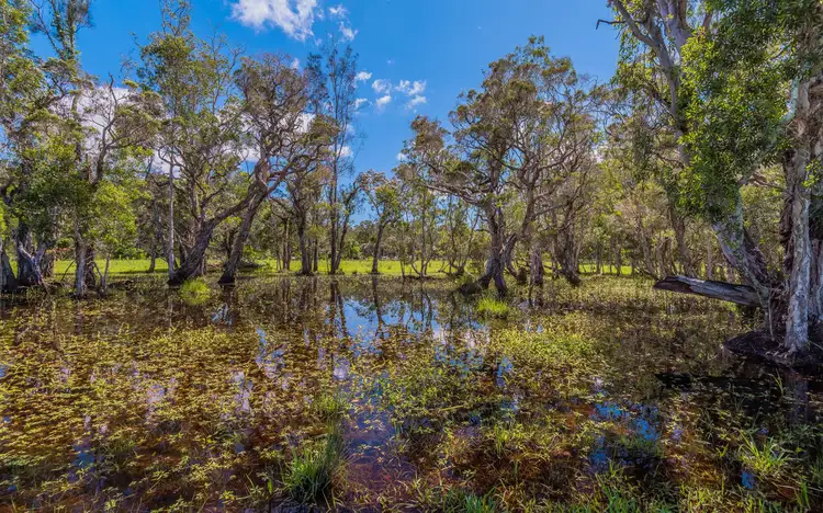 Third view of Homely house listing, 1215 Lawrence - Tullymorgan Road, Tullymorgan NSW 2463