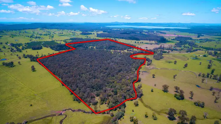 Fourth view of Homely house listing, 1215 Lawrence - Tullymorgan Road, Tullymorgan NSW 2463