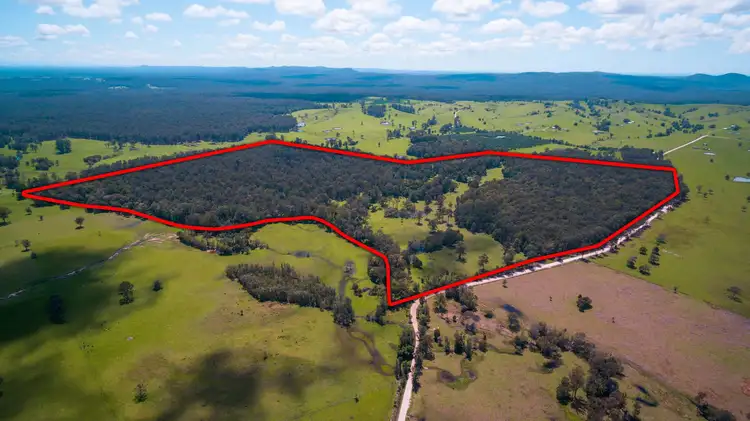 Seventh view of Homely house listing, 1215 Lawrence - Tullymorgan Road, Tullymorgan NSW 2463