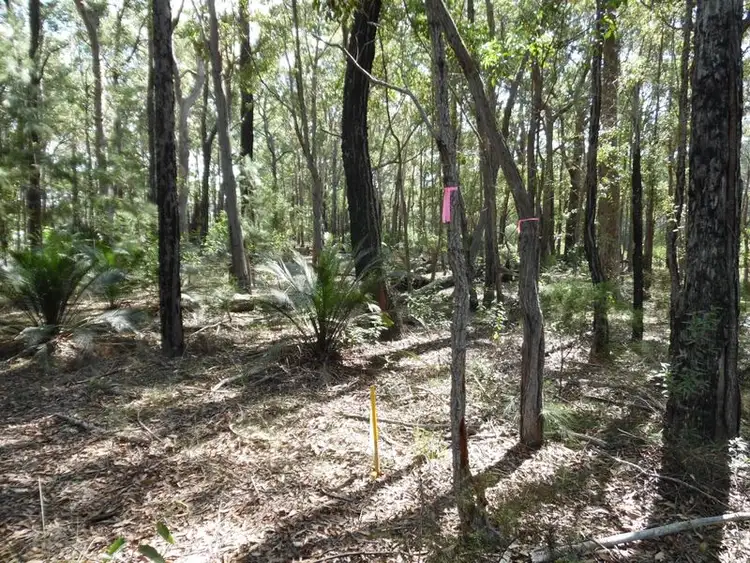 Sixth view of Homely land listing, 1131 Congo Road, Meringo NSW 2537